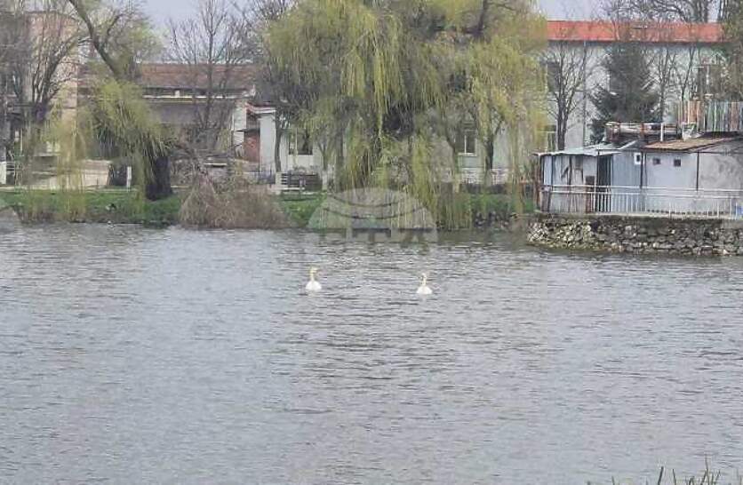 ������ ���� ������ ����� �������� �� ����������� ���� �����