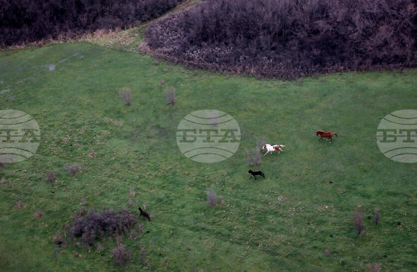 �������� �� ������ ��������� �������� ����� ������� �� ������� �� 400 ��� ������ � ���������� ���� ��������� ����