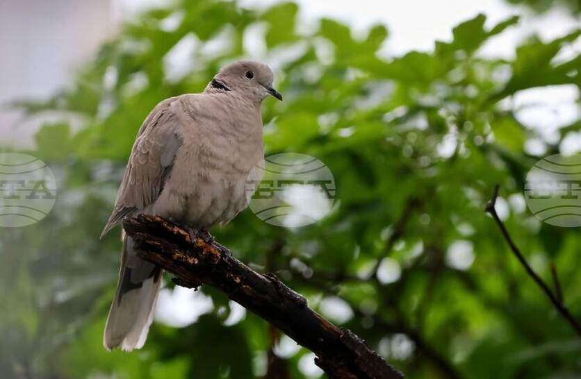 �������� �� ������� �� 30 ���� (����������) � ���������� ���