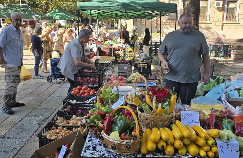 ������ �������� �������� ����������� ��������� �� ������������� � ��������� ���� �����