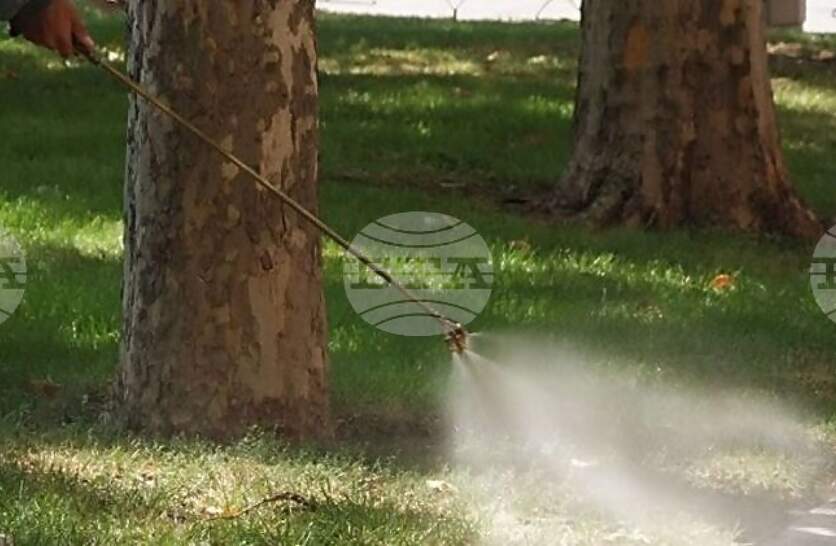 ���������� ��������� ������ ������, ������� � ����� �� ������� � ������ ������