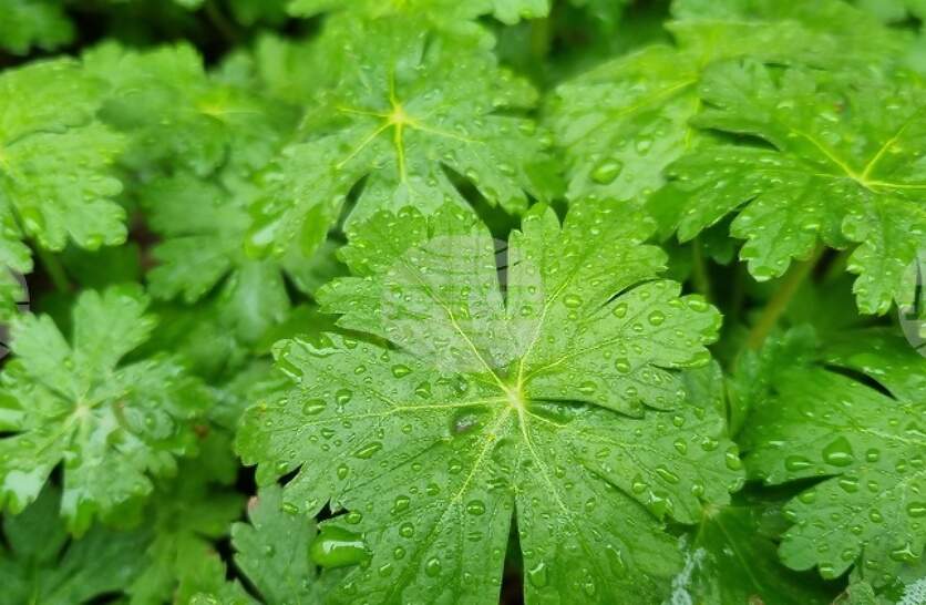 ���-������ ���������� ���� ���� ��������� ��� � �������� � ������ �� ������������ ���� ������