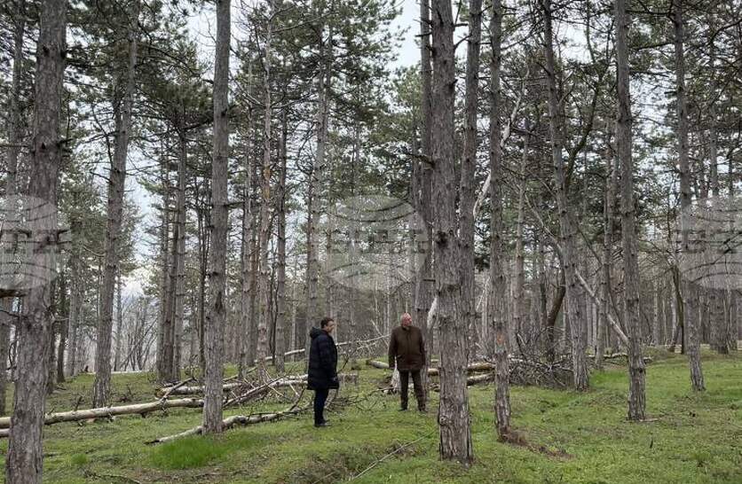 ���������� �� ��������� ��� ����� ��������� �������� ������, �������� �� ������ ��������