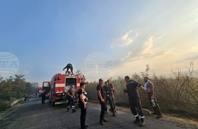 ���� 38 ������ �� ����������� � ��� ���� ���������� ���������