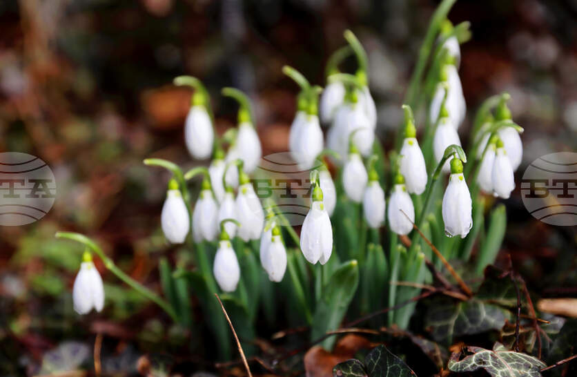 �������� �� ������� �� 19 ���� (���������) � ���������� ���