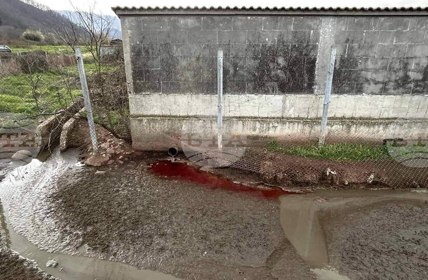 ���� ����������� � �������� ��������� �� ������ ������������������� �����������, ����������� ����