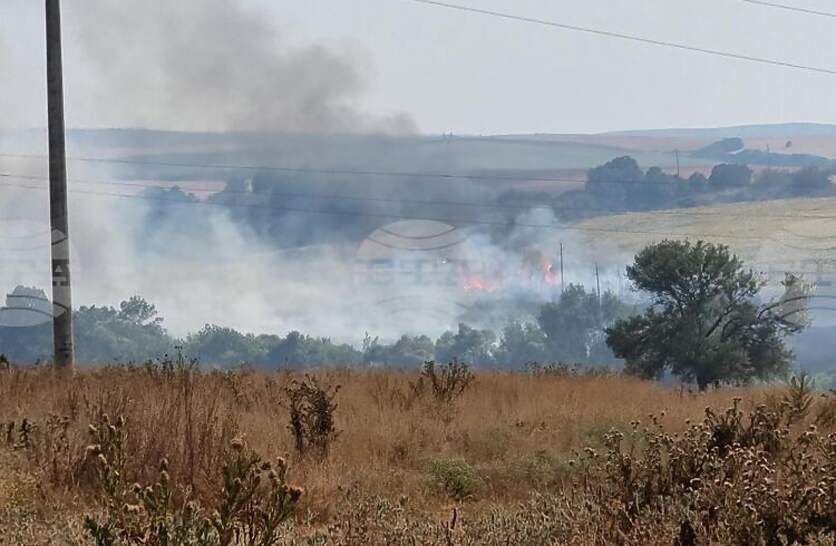 ������������ ������ � ������ ����� � ������ � ��������, �������� ���������� �� ���� �������������� ��������������