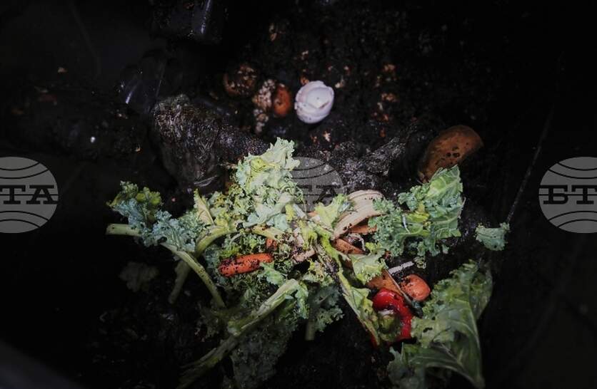 ������ ��������� �� �� �� ������������ ��������: ����� �� ������������ � ���� � ��������