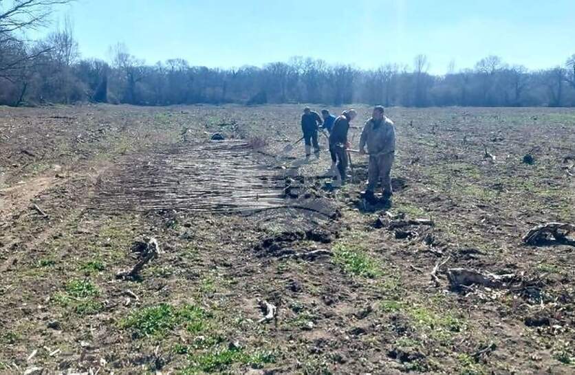 ���� 87 ������ ���� ���� �������� ������ ��������� � ��������� �� ��� �������� ����