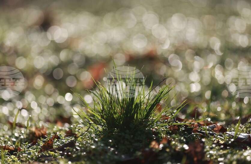 �������� �� ������� �� 7 ���� (������) � ���������� ���