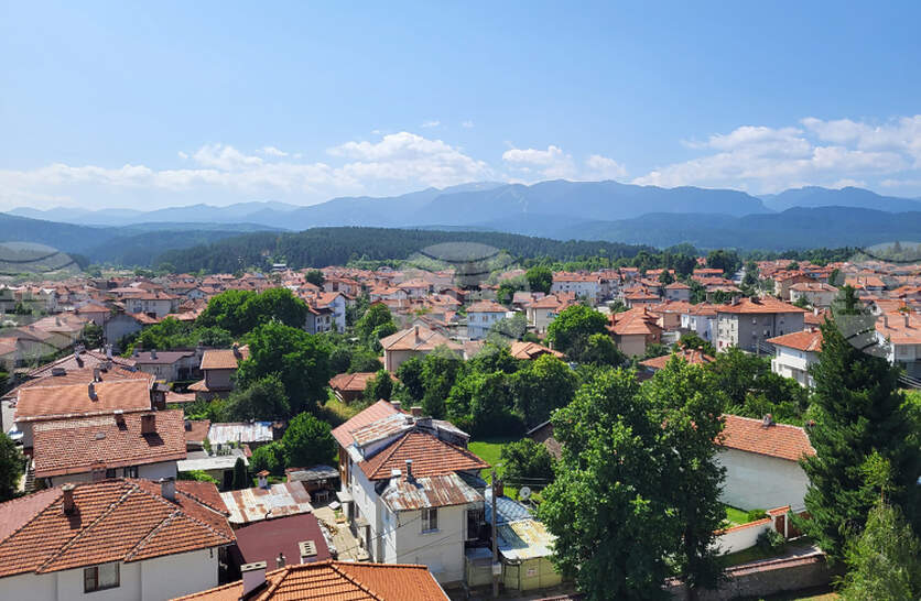 ���������� ����� � ������� �� �������� �������� �� 2025 �. �� ���������� �����������, ��������� � �����