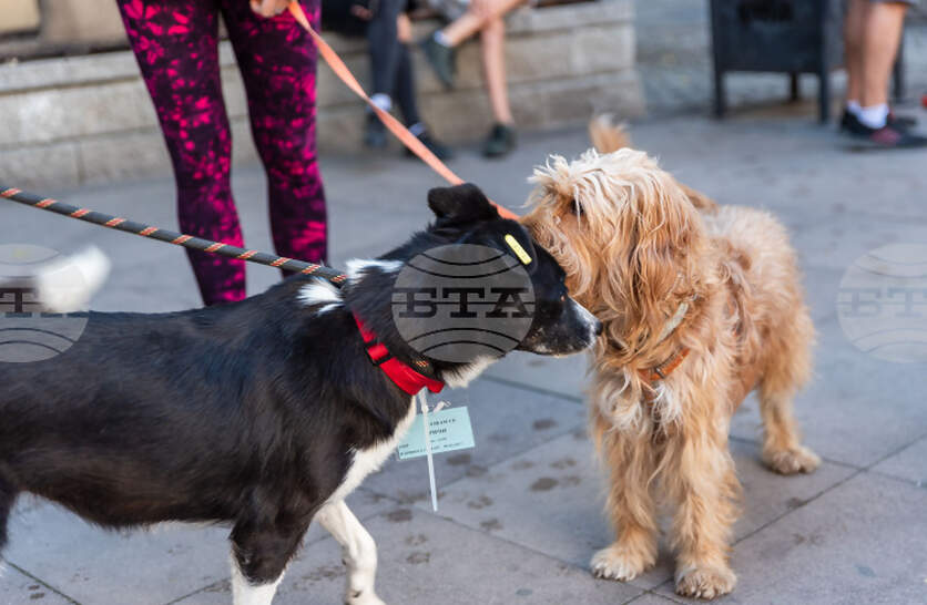 ������ ������� ������� ���������� �� ����������� ����������� �� ������� ������ � �����