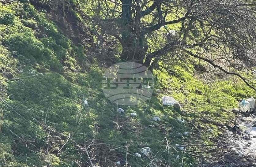 ����������� ��������� �������� �� ������ �� ����������� �� ���� ����������� � ������ �� ���������� �������� ����� �� ��� ������