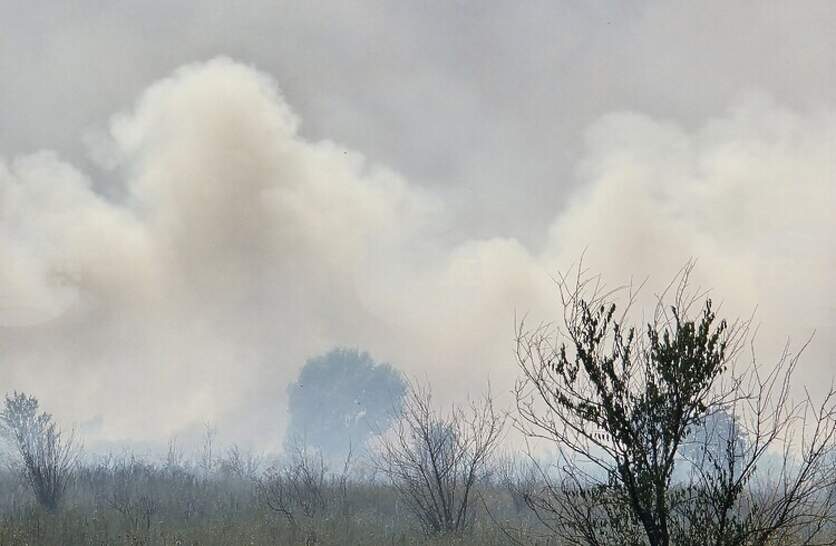 ����������� � ����� � ����������� ���� ���������