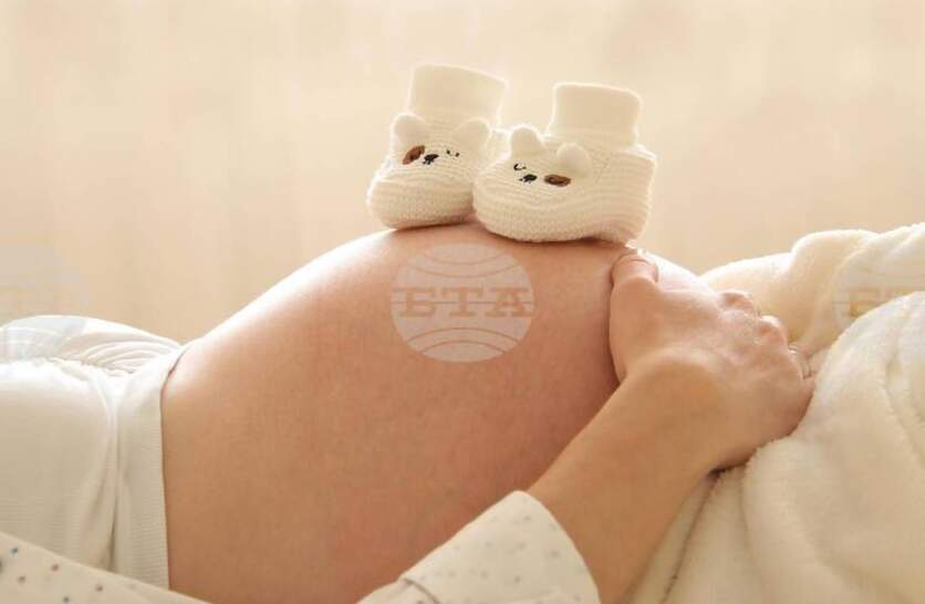 ���� � ������������� ��������, ����� ����� ��������, ���� ����� �� ������������� �� ����������� �� ������� ���������� �� ���������� ������