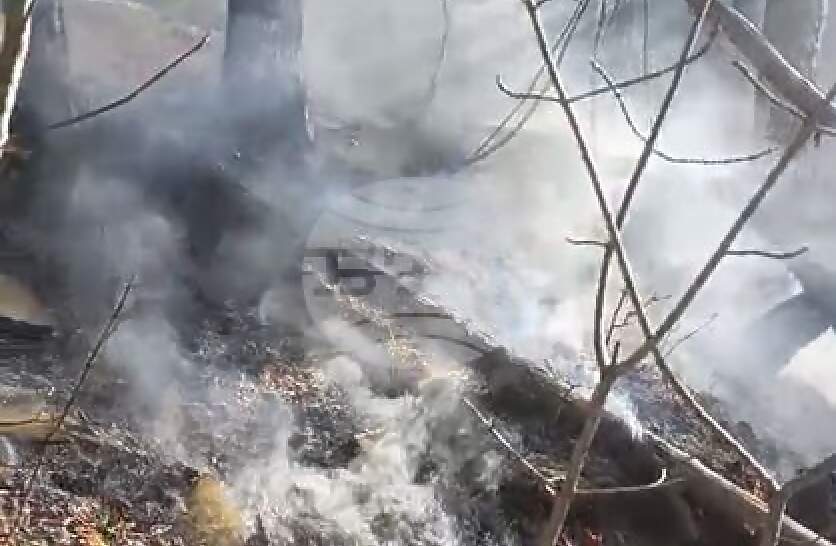 ����� � �������� ����� 100 ��� ������ � ��� 80 ��� ������ ��������� � ���������� ���� ����� ����