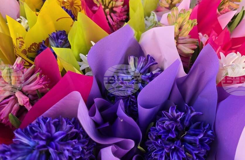 ����, ������, ����������, ������ � ���� �� ���� ���-��������� ����� �� ���� ���� � �����