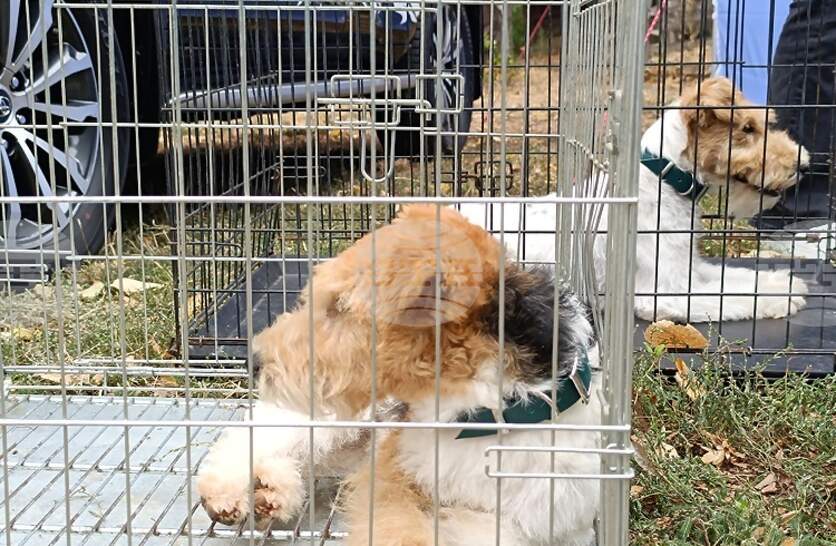 ��������� ������� �� ����� ������ �� ������ � ���������