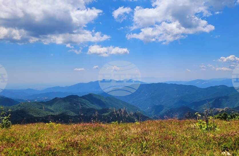 ������������������� ����������� �� ������ ���� ������ �� ����� � ������