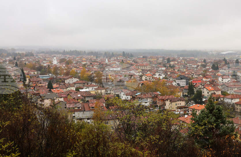 ���������� ����� � ������� ���� �������� �� 2025 �. �� ���������� �����������, ��������� � �����