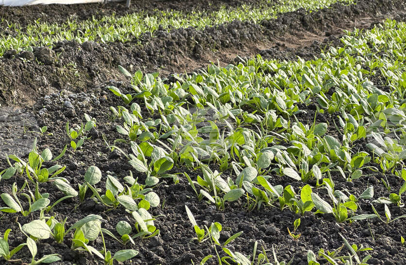 ������������ �� ���������� ��������� �� ���������� ����� ��������� ���� ��������, ����� ���� ��������� �� ������ ���� ������� �����