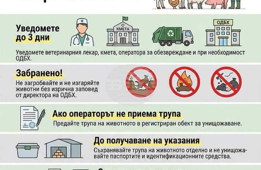 ����� �� �������� ��� ����� �� ������� � ���������� ����������, ������� ����