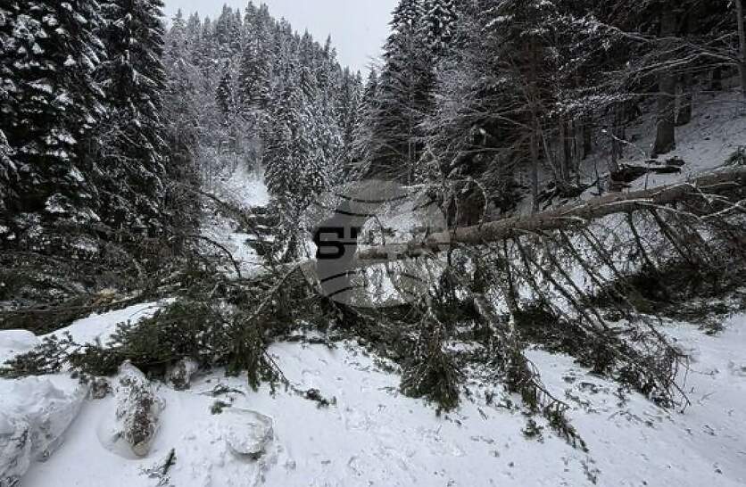 ����������� ��������� �� ����������� ���� ����� � ��������� �� ������ �� ���� �������� �� ���������� �������