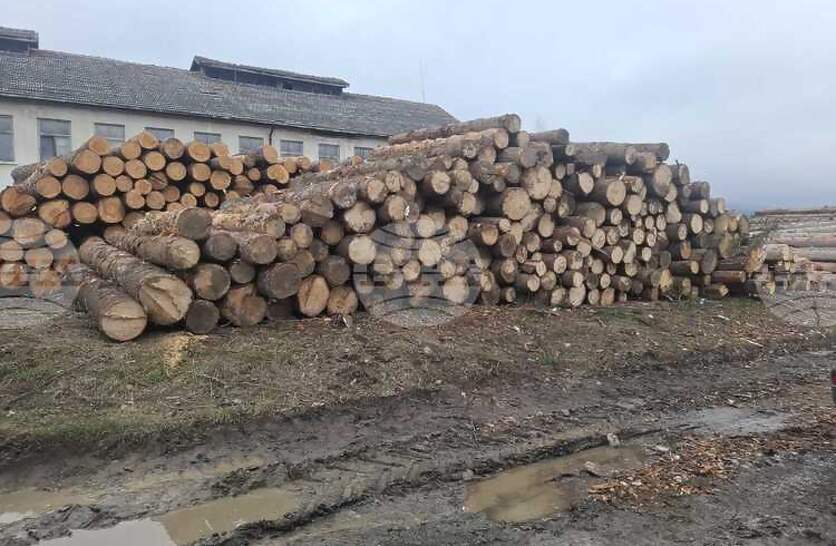 ��������� ����������� � ������ �� ��������� ������� ��������