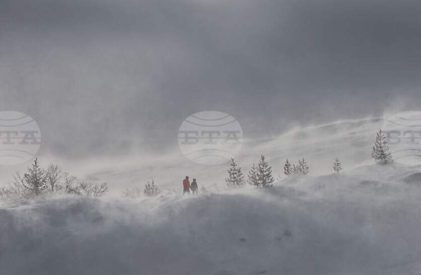 ���� �� ��������� �� ������� � ���������, �������� �� ����������� ���������� ������ �� ���