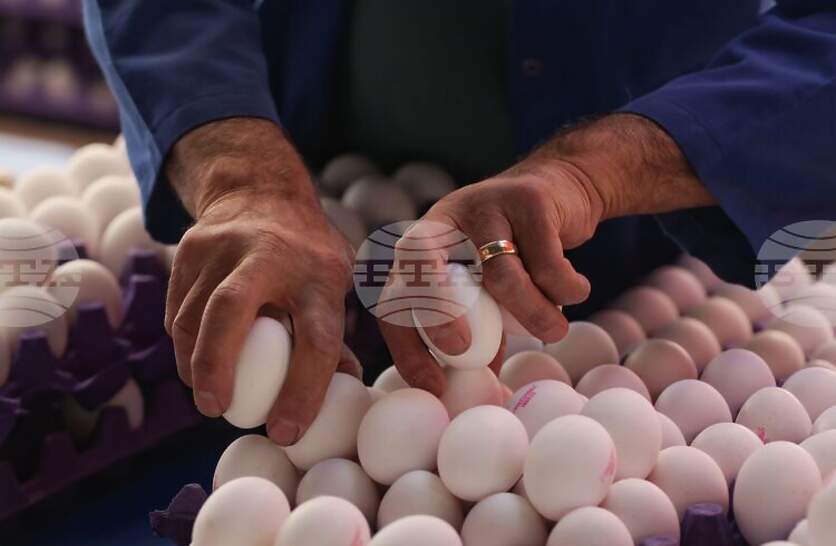 ���� ��� ���������� � �������� �� ������ ����� ������ ��� ���� ������