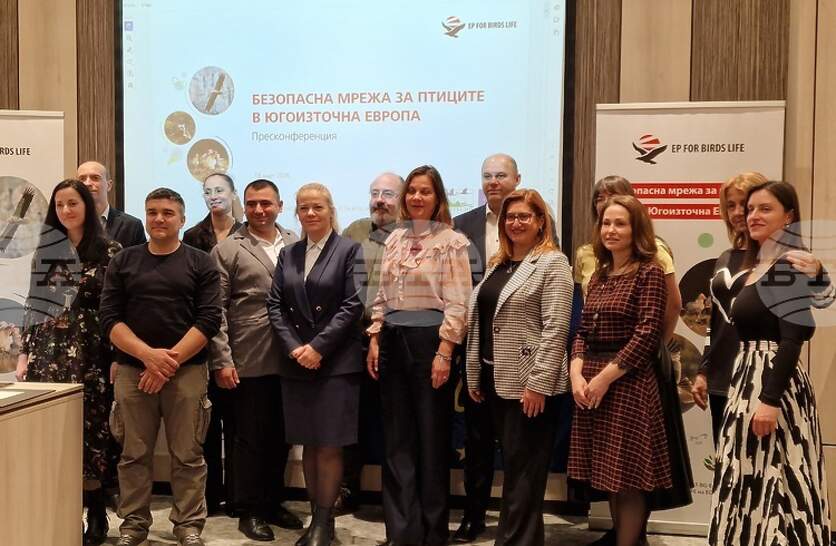 ������ �� ��� �� ������������� �� ����������������� ����� �� �������� 11,3 ���. ���� ���� �������� �� ���������� ������ � ������� ����