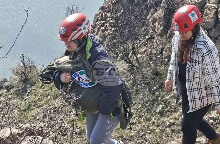 � ��� ������� ������� �������� ������� �� ������������ ���� �������������� ���� ������ ����