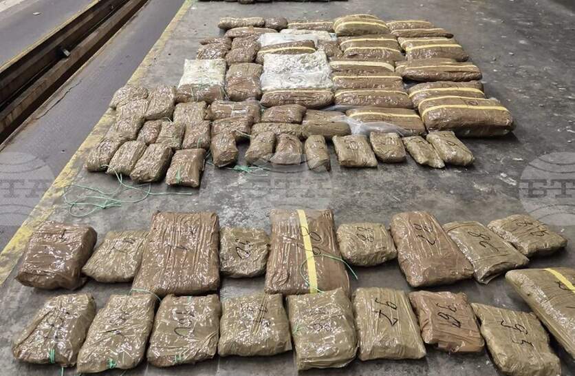 ��� � ������ ����������� � ������� �� ���� �� ������� ���� ���� �������� �������� 107 ������ ��������� �� �������� ����� 375 ������ ����