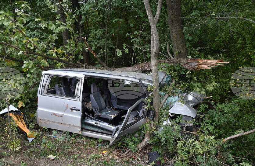 ������������ ���� �� ������ ��� 11 ���������� � �������� ���� ���������� ���������