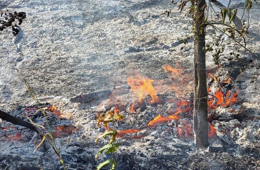 ������������ � �������� ����� � ������ ��������� � ��������� �� �����