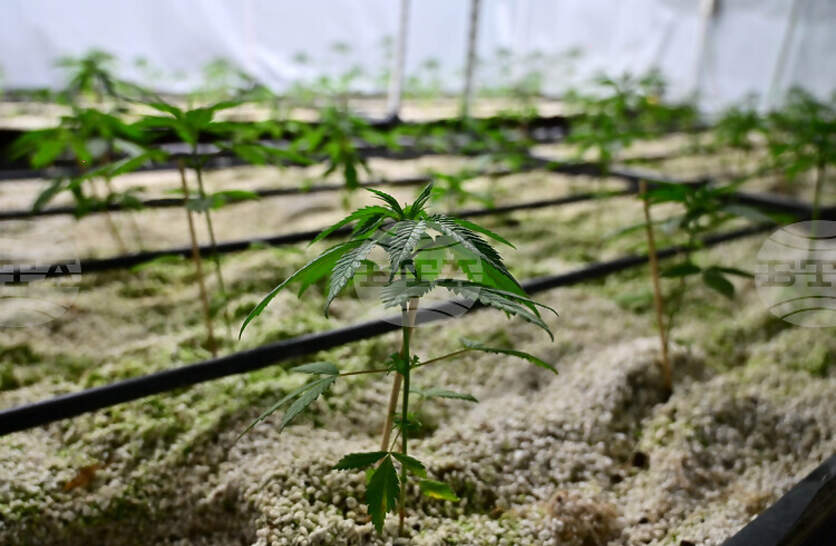 ��������� ��� ����� ������ ��������������, ��������� � 40-������� ����