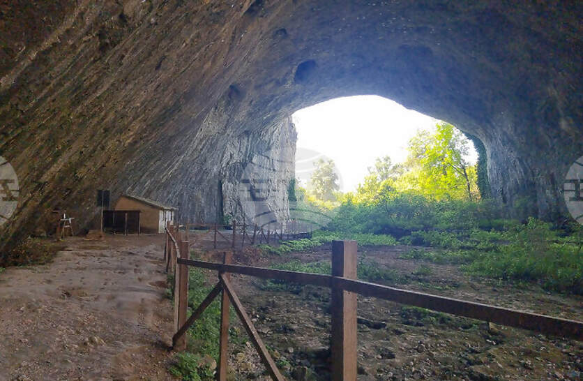 ��������� �� ����� ����������, ������� � ��������� ��� ������ ����� �� 2025 �. �� ����� 236 000 ��., ���-����� �� �� ����������� ������