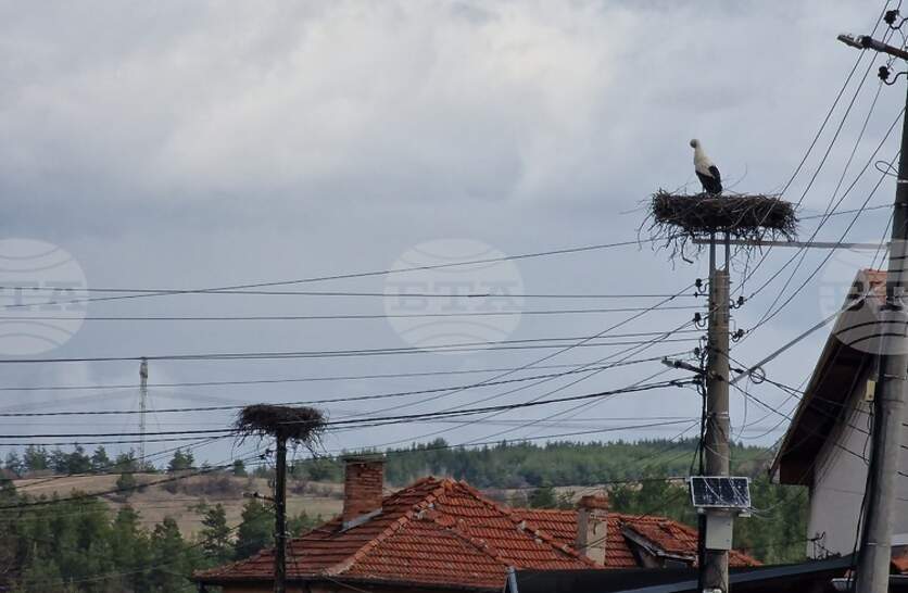 �������� �� ��������� ����� � ����� ������ ���� �� ���� ����������� � ������ �����