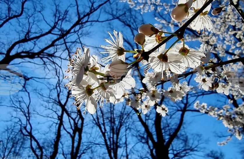 �������� �� ������� �� 6 ����� (����������) � ���������� ���