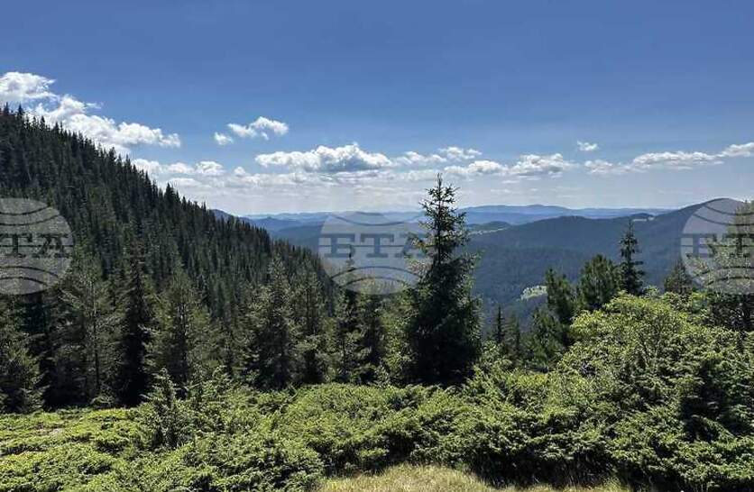 ��������������� �������� ����������� - ������ �� ����� ��������� �������� �� ��������� �� 9 �����