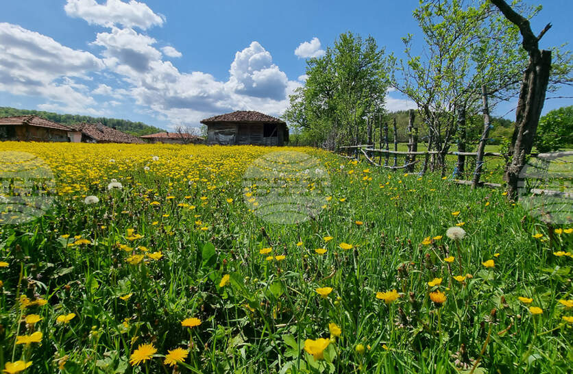 �������� �� ������� �� 13 ����� (����������) � ���������� ���