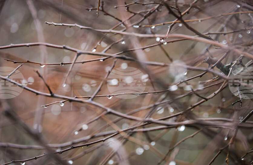 �������� �� ������� �� 9 ����� (���������) � ���������� ���