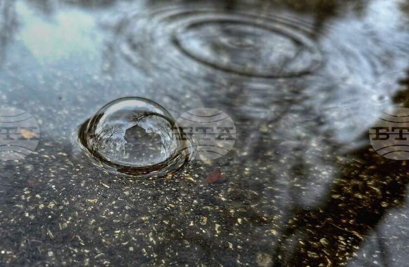 �������� �� ������� �� 8 ����� (�����) � ���������� ���