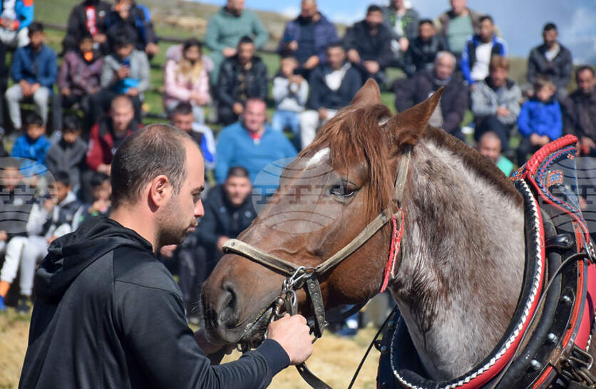 �� �������� � ����� ������ � ������ �� �� ������� ��������� �� ���������� ����