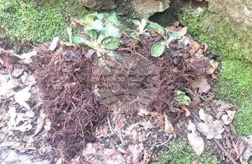 ����� � ������� �������� ���� ����� �������� �� �������� ���� ���� ���������