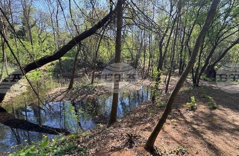 �� �� ������ �������� �� ���������� � �������������� �� ������� � ��������� ���� ����, �������� �� ���������� ������