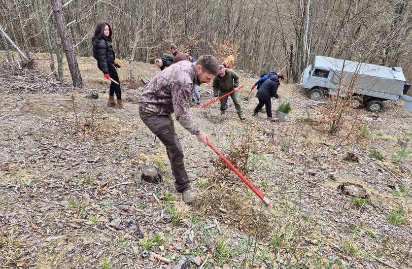 � ���������� �������� � ������� �� ��� ��� �� ����� ��������� �� ������