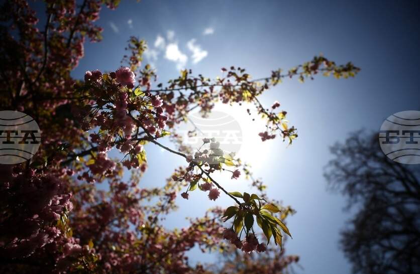 �������� �� ������� �� 19 ����� (������) � ���������� ���