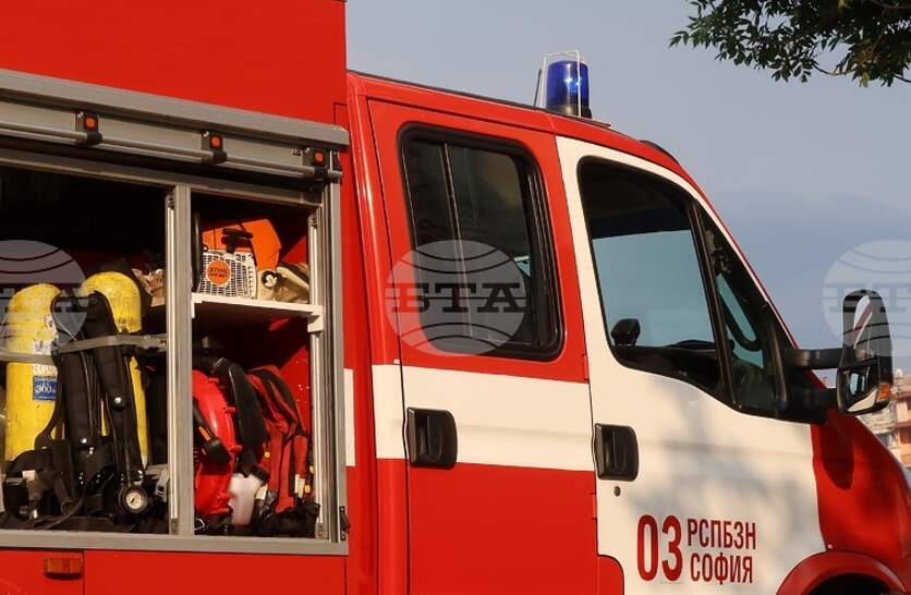 ���� �� 79 ������ � �������� ��� ����� � ���� ������