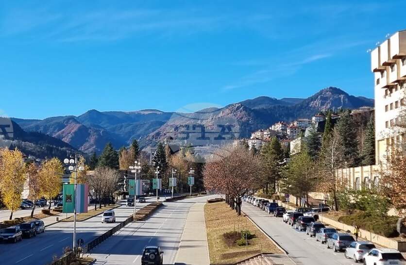 ��� 100% ���������� ��������� � ������ ������ ������������ ��������� �������� 49,01% �� ���������, ����� �� ����-��� � 13,86%